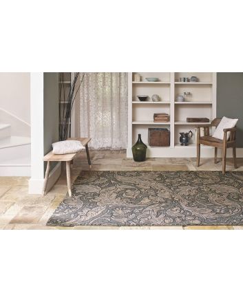 Bachelors Button Charcoal 28205